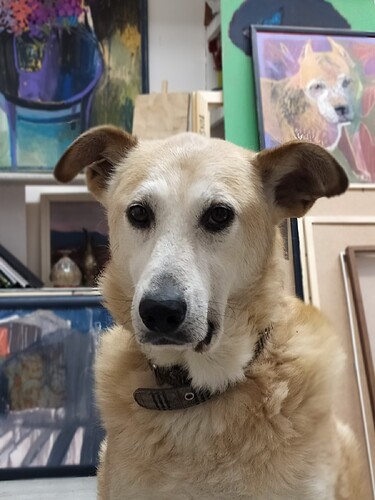 stlEa7NjWTEV3OM_SgsD3iQ_6nYwIVNQ4DGp6ZTs0bm-1T5z_9TpH-nL2Us4rI0GTnT1yJAy